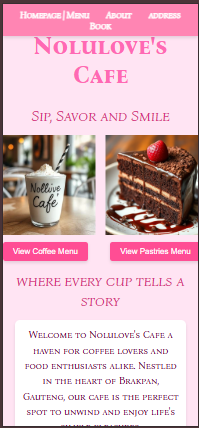 portfolio clean and functional website by NoluForge